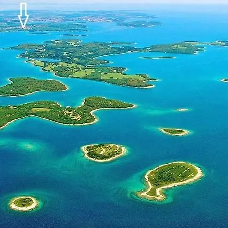 Stinjan Kascuni Pula