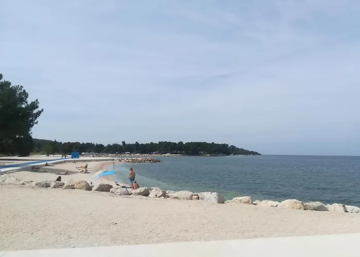 Stinjan Kascuni * Pula