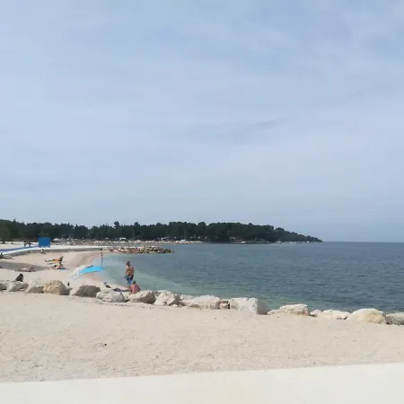 Stinjan Kascuni * Пула